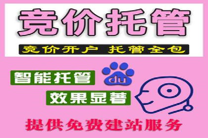 百度推广的投放策略与效果分析